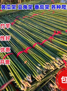 竹竿子菜园搭架各种蔬菜架丝瓜架黄瓜架豆角架番茄架爬藤架彩旗杆