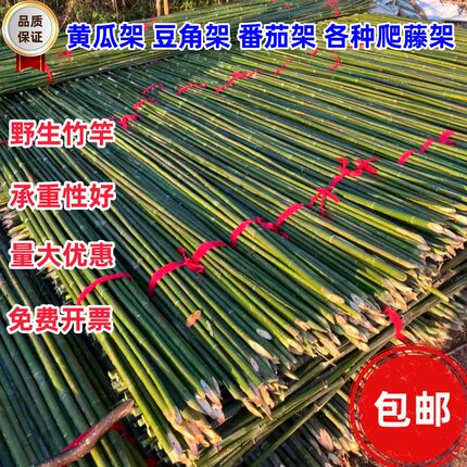 竹竿子菜园搭架各种蔬菜架丝瓜架黄瓜架豆角架番茄架爬藤架彩旗杆