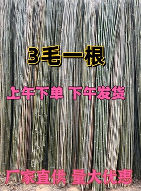 竹竿子菜园搭架各种蔬菜架丝瓜架黄瓜架豆角架番茄架爬藤架彩旗杆