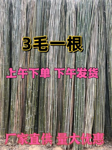 竹竿子菜园搭架爬藤架量大批发价