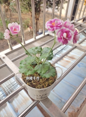 粘土仿真花天竺葵黏土花情侣礼物摆件纯手工制作树脂粘土花艺术品