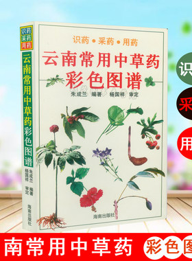 正版 云南常用中草药彩色图谱书籍 识药用药采药彩色高清图解258种云南中药使用家药典图鉴