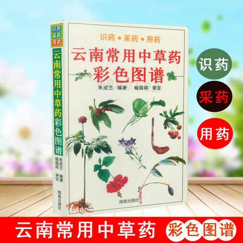 正版 云南常用中草药彩色图谱书籍 识药用药采药彩色高清图解258种云南中药使用家药典图鉴