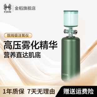 金稻注氧仪家用便携式手持美容院高压脸部喷雾补水仪器精华导入仪