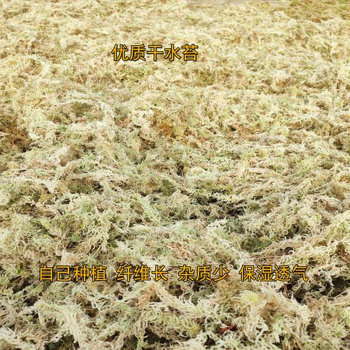 纯天然干净少杂质自产自销