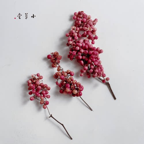 圣诞花环胡椒果手工进口小枝