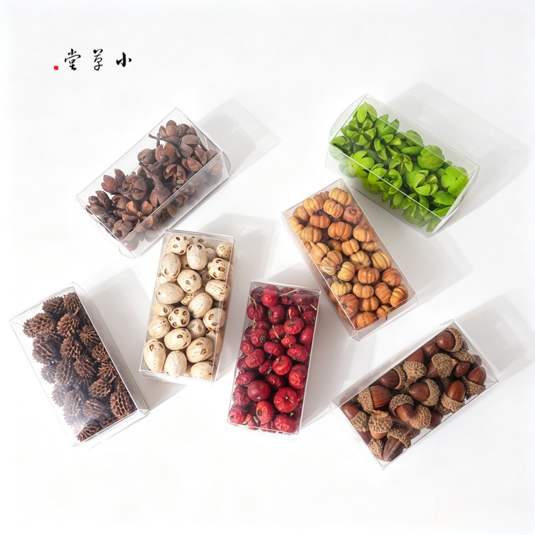 【一盒果实】天然植物果实干果手工diy材料幼儿环创标本收集展示