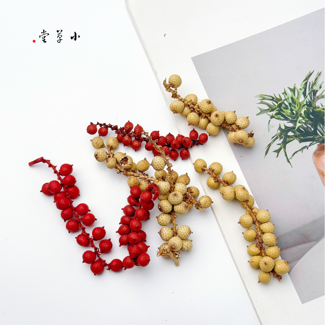 【永生红果】龙鳞果进口天然植物玻璃罩景观饰品圣诞红果装饰DIY,家居饰品,干花/花瓣/干花包/干树枝,淘宝优惠券,粉丝福利购,淘宝优惠卷