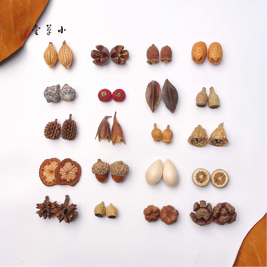 天然植物耳环果实橡果diy果子创意个性耳环材料可爱少女富贵耳环