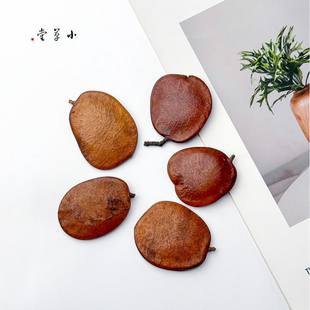 【圆豆荚】进口天然植物干果壳干花手工diy材料幼儿环创标本收集