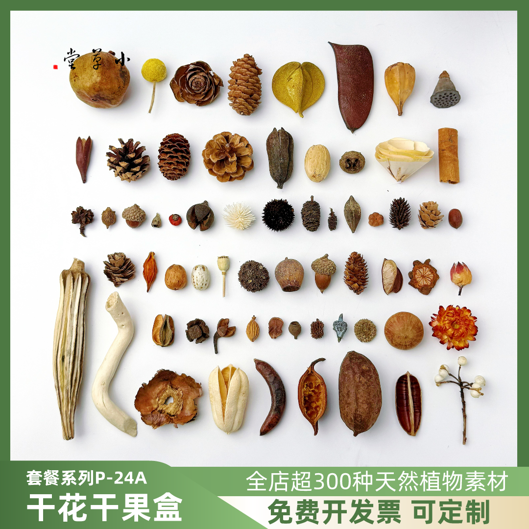 天然植物果子松果套装diy标本相框制作材料幼儿手工家居壁挂装饰