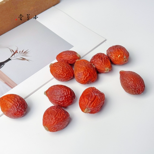 【铁树果】天然植物手工diy材料3-5cm植物果实标本收集圣诞花环