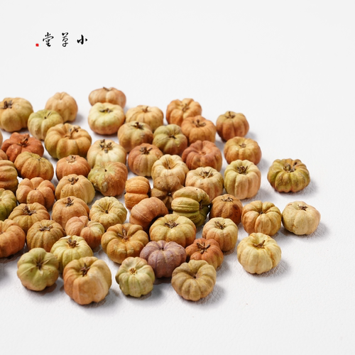 【小桔瓜】进口植物果实迷你小南瓜手工diy材料干花干果植物标本