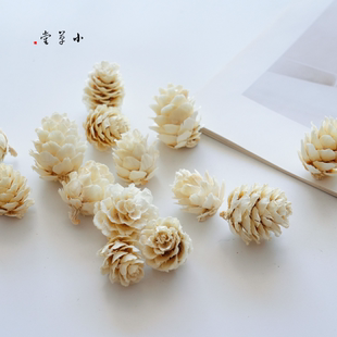 【漂白落叶松花】天然植物加工花松花手工diy材料圣诞花环制作