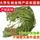 非莴笋干 一级无叶贡菜苔干苔菜农家干货土特产脱水蔬菜 1000g 包邮