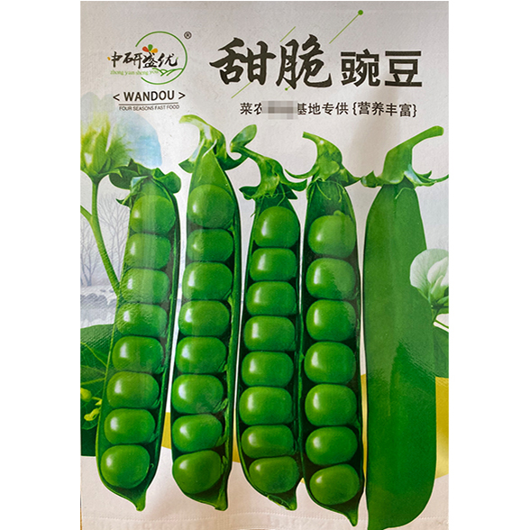研优甜脆豌豆种子 粒大饱满甜脆豌豆种籽 菜园农家盆栽易种蔬菜孑