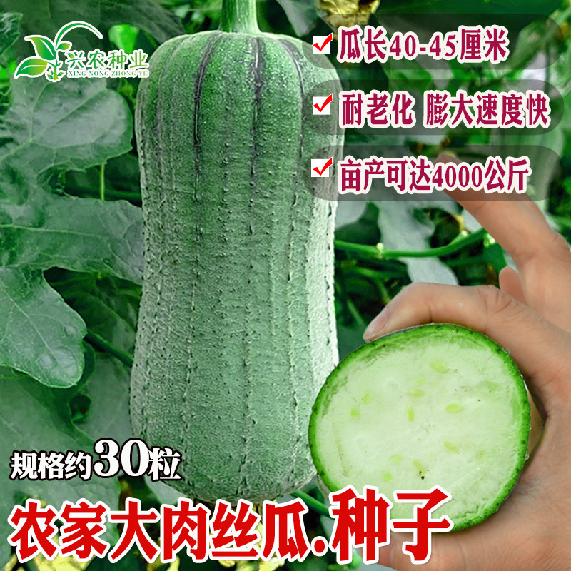 农家大肉丝瓜种子蔬菜籽 特早熟杂交肉厚肥嫩 耐寒耐热 易种植,农用物资,蔬菜种子/种苗,淘宝优惠券,粉丝福利购,淘宝优惠卷