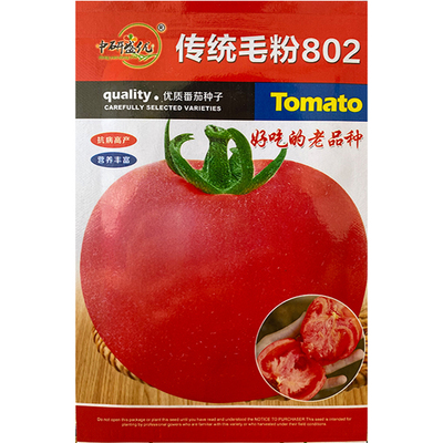 研优传统毛粉802西红柿种子