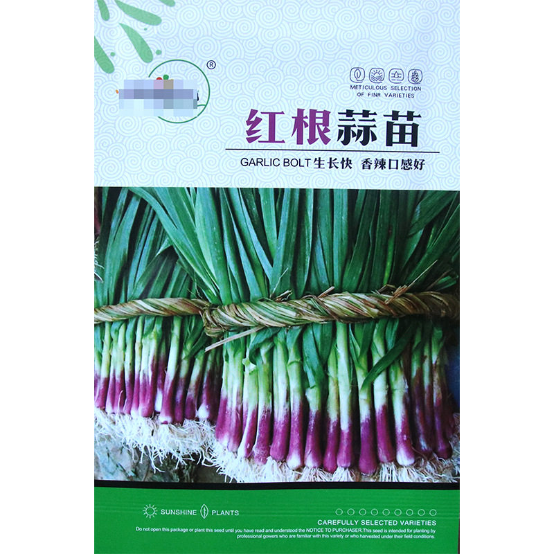 红根蒜苗种子 农田菜园可四季盆栽茎肉厚香味浓红头香紫色蒜苗籽,农用物资,蔬菜种子/种苗,淘宝优惠券,粉丝福利购,淘宝优惠卷