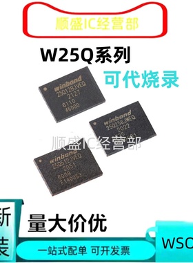 代烧录直拍 W25Q128 25Q16 25Q32 25Q64 JVZPIQ PQ PIQ EIQ WSON8