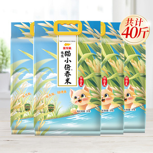 金龙鱼臻选猫牙香丝米5kg*4袋南方米丝苗米籼米40斤装长粒香大米