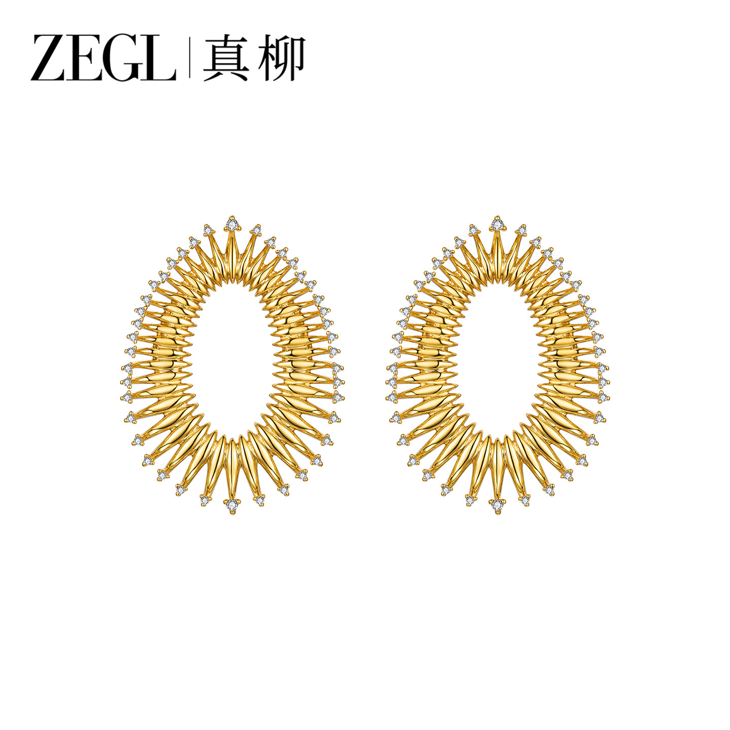 ZEGL真柳欧美夸张大耳环女新款爆款圈圈耳圈轻奢高级耳钉金色耳饰