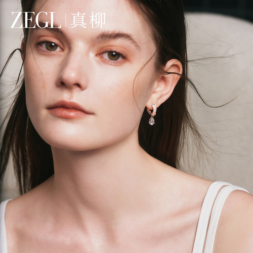 ZEGL真柳圈圈耳环女高级感轻奢耳圈闪锆精致小众耳饰新款爆款耳坠
