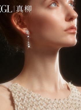 ZEGL设计师微光系列星星流苏耳环女设计感小众耳钉新款爆款耳饰