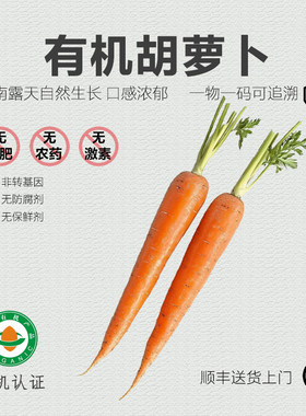 有机胡萝卜3斤 云南新鲜带泥水果胡萝卜农家有机蔬菜儿童宝宝辅食