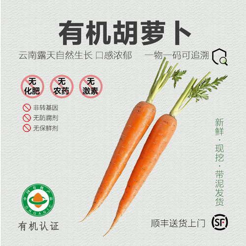 有机胡萝卜3斤 云南新鲜带泥水果胡萝卜农家有机蔬菜儿童宝宝辅食