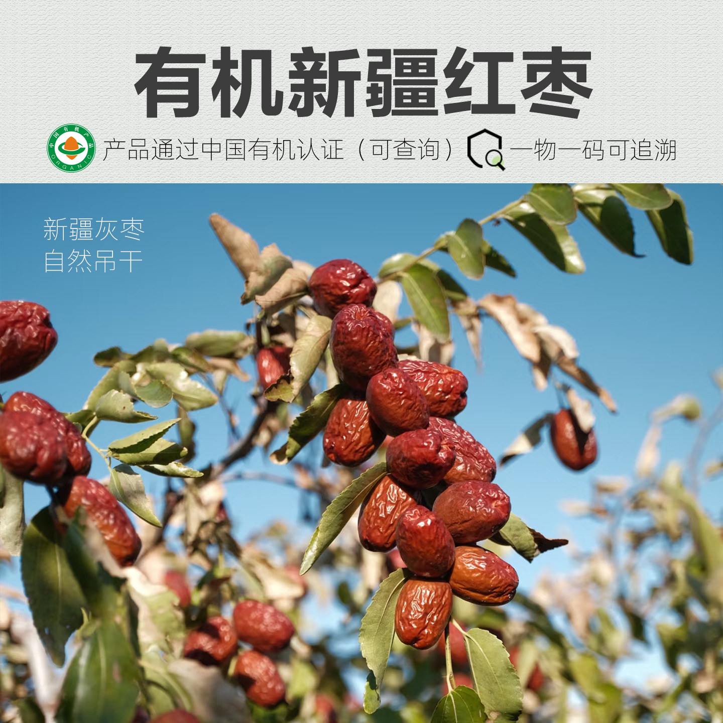 有机红枣 新疆特产干货和田若羌大枣特级干枣去核灰枣无核小红枣