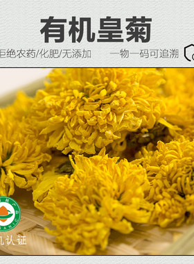 有机小皇菊100%无添加花茶菊花茶干花怕上火菊花茶熬夜喝一朵一杯