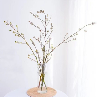 花曌新鲜灯台鲜花水养真花装饰木鲜切花春节年宵花摆件家居瓶插花