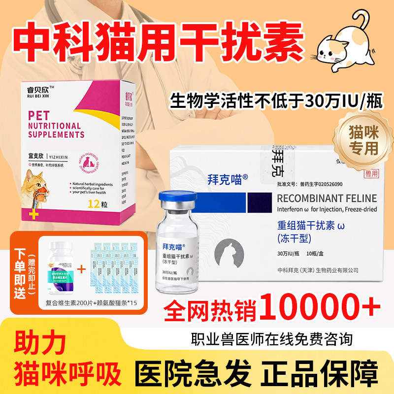 猫咪杯状病毒治疗药猫鼻支口炎
