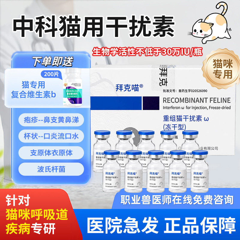 猫咪口炎杯状病毒治疗猫鼻支感冒