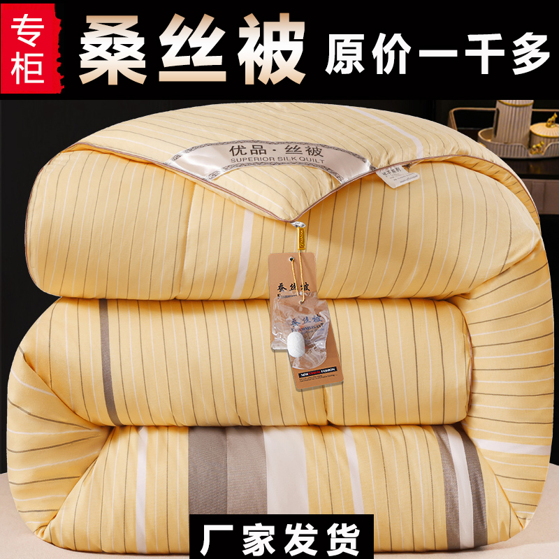 加厚被子冬被保暖蚕丝棉被芯冬季棉絮太空被褥子双人春秋冬天冬款