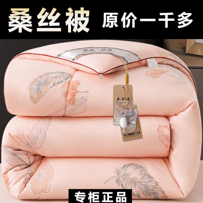 加厚蚕丝被子冬被保暖冬天双人
