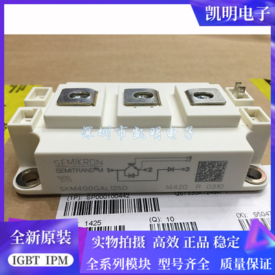 SKM400GAL125D SKM400GAL123D SKM400GAL128D SKM400GAL124D