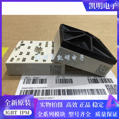 SKIIP20NAB12T18 SKIIP22NAB12T17 SKIIP20NAB12T45 20NAB12T46现