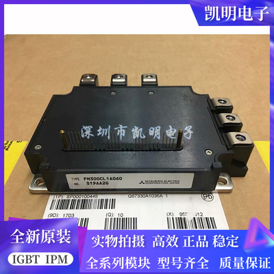 PM300RS060 PM300CLA060 PM300RLA060 PM300CL1A060