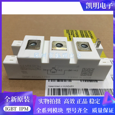 SKM145GAL176D SKM195GAL124D SKM145GB123D SKM75GAL123D