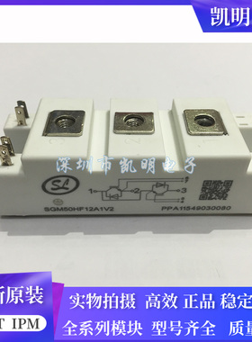 SGM50HF12A1TFD SGM75HF12A1TFD SGM100HF12A1TFD SGM150HF12A1V2