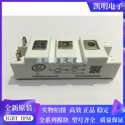 SGM50HF12A1TFD SGM75HF12A1TFD SGM100HF12A1TFD SGM150HF12A1V2
