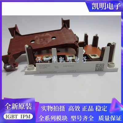 SKIM200GD126D SKIM304GD12T4D SKIM300GD126DL SKIM250GD128D