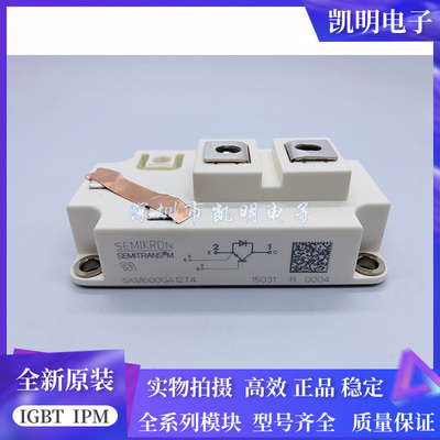 SKM600GA12T4 SKM500GA12T4 SKM400GA12T4 SKM300GA 200GA 800GA