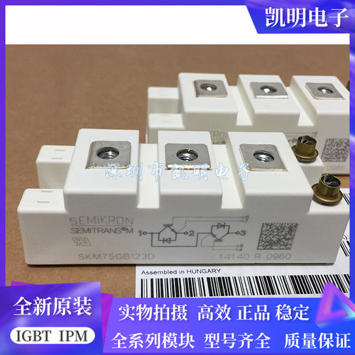 全新SKM75GB128D SKM75GB123D SKM100GB128DE SKM100GB123D SKM50