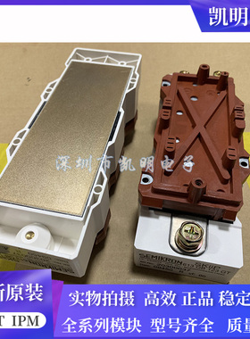 SKIIP613GB123CT SKIIP513GB173CT SKIIP603GB173GT SKIIP613GB12