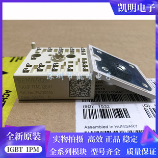 SKIIP13AC126V1 SKIIP12AC12T4V1 SKIIP11AC126V1 SKIIP11NAB126V