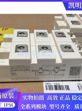 SKM100GB125DN SKM195GB126DN SKM145GB124DN SKM75GB128DN 176DN