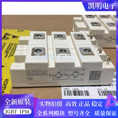 SKM100GB125DN SKM195GB126DN SKM145GB124DN SKM75GB128DN 176DN